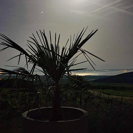 Panorama, Balaton Villa Dorgicse Exterior photo